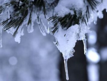 Σημαντική πτώση της θερμοκρασίας από την Τετάρτη 19/02 (video)