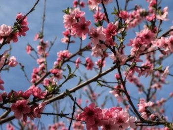 Ξεπέρασε τους 28 βαθμούς Κελσίου η μέγιστη θερμοκρασία τη Δευτέρα του Πάσχα