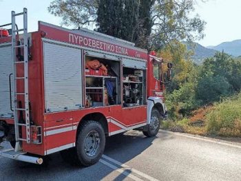 Δέντρο καταπλάκωσε οχήματα στο πάρκινγκ του Υπεραστικού ΚΤΕΛ Ιωαννίνων 