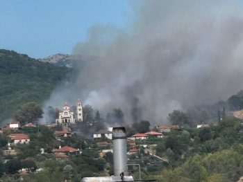 Η Κοινότητα Κτισμάτων ευχαριστεί