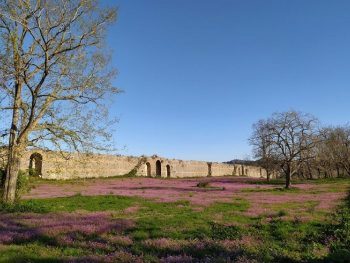 Αλλαγή χώρου εκδήλωσης στο "Αντηχήσεις στον χρόνο"