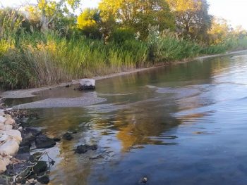 Η άμπωτη “εξαφάνισε” τα νερά από παραλίες της Πρέβεζας