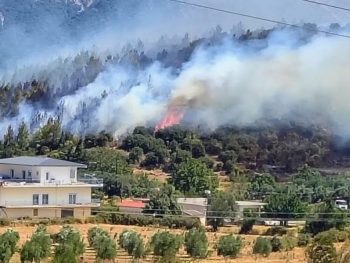 Εντάχθηκε στο ΕΠΑ η δωρεάν κρατική αρωγή για αποκατάσταση ζημιών σε κτίρια που επλήγησαν από τη φωτιά στον Δήμο Ζηρού