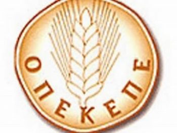 Απάτες ΟΠΕΚΕΠΕ: Δύο συλλήψεις στα Ιωάννινα 