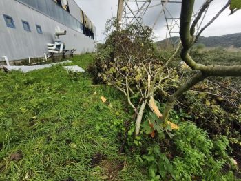 Ανεμοστρόβιλος «σάρωσε» εργοστάσιο στον Παραπόταμο Θεσπρωτίας