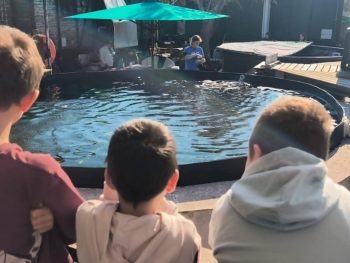 Τον "Έβερεστ" υιοθέτησαν παιδιά από εκπαιδευτήρια του Πειραιά 