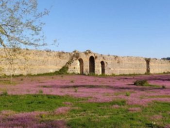 Προχωρούν οι εργασίες για τις διαδρομές ΑΜΕΑ στον αρχαιολογικό χώρο της Νικόπολης