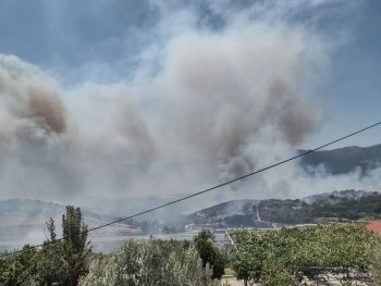 Επιδότηση ενοικίου για πληγέντες από πυρκαγιές