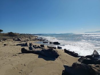 Τεράστιες ποσότητες  ξύλων και άλλων φερτών υλικών έχουν γεμίσει τις παραλίες της Πρέβεζας