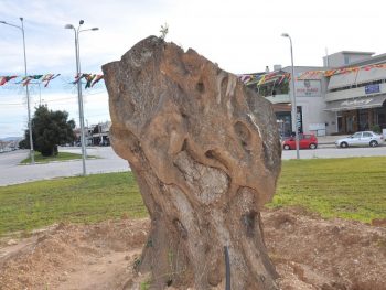 Βλάστησε η υπεραιωνόβια ελιά που φυτεύτηκε στον κόμβο της Λ.Ειρήνης στην Πρέβεζα