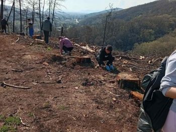 Μαζί με το πράσινο επιστρέφει και η ελπίδα στο δάσος της λίμνης Ζηρού