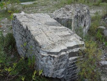 Συνεργασία με το Πανεπιστήμιο Ιωαννίνων για τα λιθοσώματα του Γεφυριού της Πλάκας