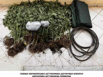 Καλλιέργεια και κατοχή ναρκωτικών σε περιοχή της Πρέβεζας