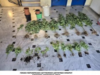 Συνελήφθη για καλλιέργεια και κατοχή ναρκωτικών σε χωριό της Άρτας 