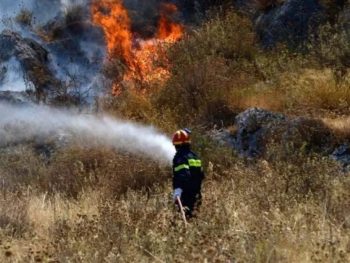 Φωτιά στη Βήσσανη Πωγωνίου