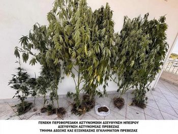 Χειροπέδες για καλλιέργεια και κατοχή ναρκωτικών σε περιοχή της Πρέβεζας