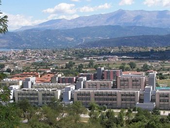 Η ζέστη και το χαλάζι «χτύπησαν» τα δέντρα στο Πανεπιστημιακό Δάσος Ιωαννίνων