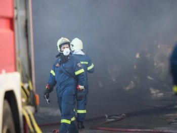 Λυκόστομο: Άμεση επέμβαση για φωτιά που ξέσπασε δίπλα στον δρόμο