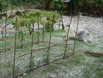 Από τον καύσωνα στο χαλάζι και τις τοπικές μπόρες