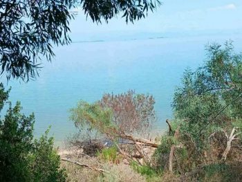Η διάβρωση "πληγώνει ' τους Αγίους Αποστόλους