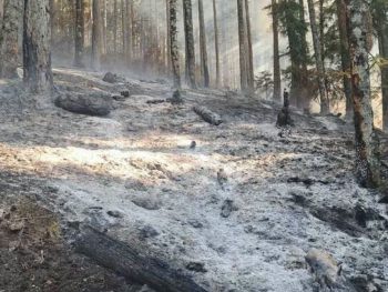 Φωτιά στην Κόνιτσα: 6.290 στρέμματα έχουν γίνει στάχτη