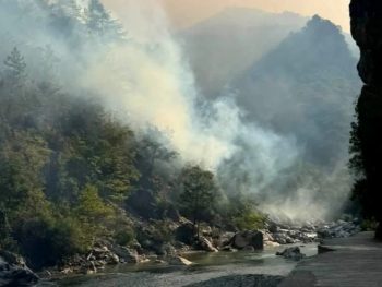 Ήχησε το 112 για τη φωτιά στην Τραπεζίτσα