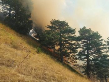 Συνεχίζεται η κατάσβεση στην Τραπεζίτσα