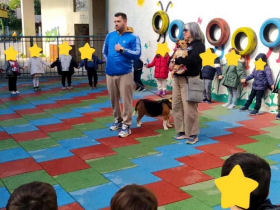 Ο Δήμος Ιωαννιτών δίπλα στα αδέσποτα ζώα – Ενημερωτικές δράσεις στα σχολεία