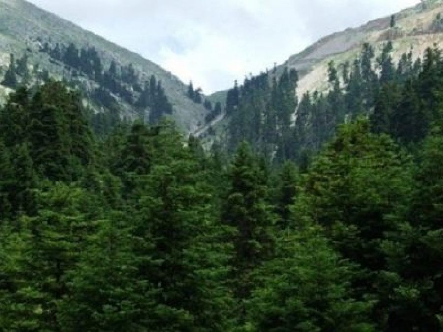 Απαγόρευση κυκλοφορίας σε δάση στην Π.Ε. Ιωαννίνων λόγω κινδύνου φωτιάς