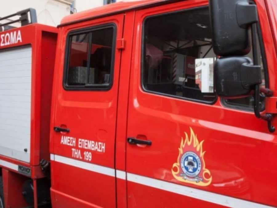 Νέα φωτιά στην περιοχή Πρωτόπαππα- Πετσάλι