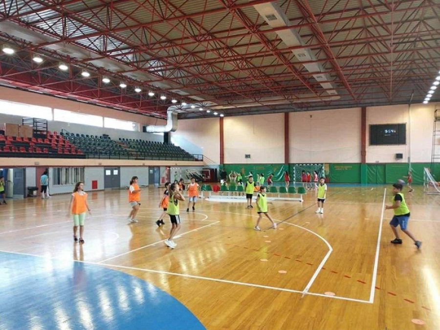 Τουρνουά χάντμπολ δημοτικών σχολείων Άρτας