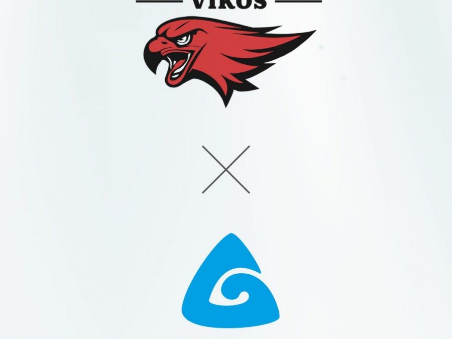 Πρόσθεσαν χορηγό οι Vikos Φalcons 