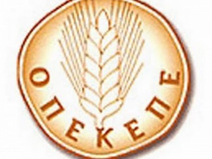 Απάτες ΟΠΕΚΕΠΕ: Δύο συλλήψεις στα Ιωάννινα 