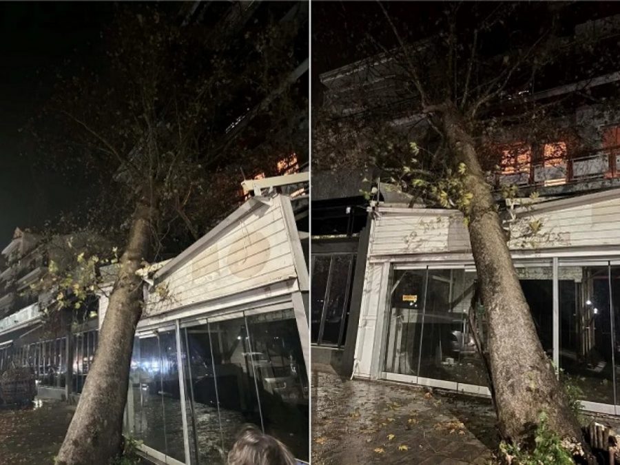 Ηγουμενίτσα: Κατέρρευσε πλάτανος και έπεσε σε κατάστημα εστίασης