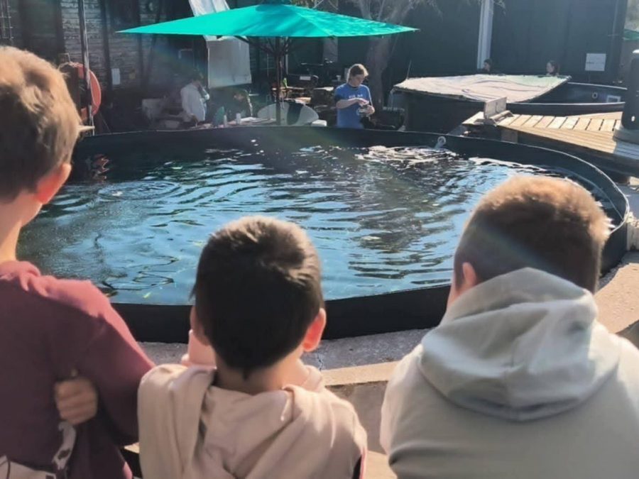 Τον "Έβερεστ" υιοθέτησαν παιδιά από εκπαιδευτήρια του Πειραιά 