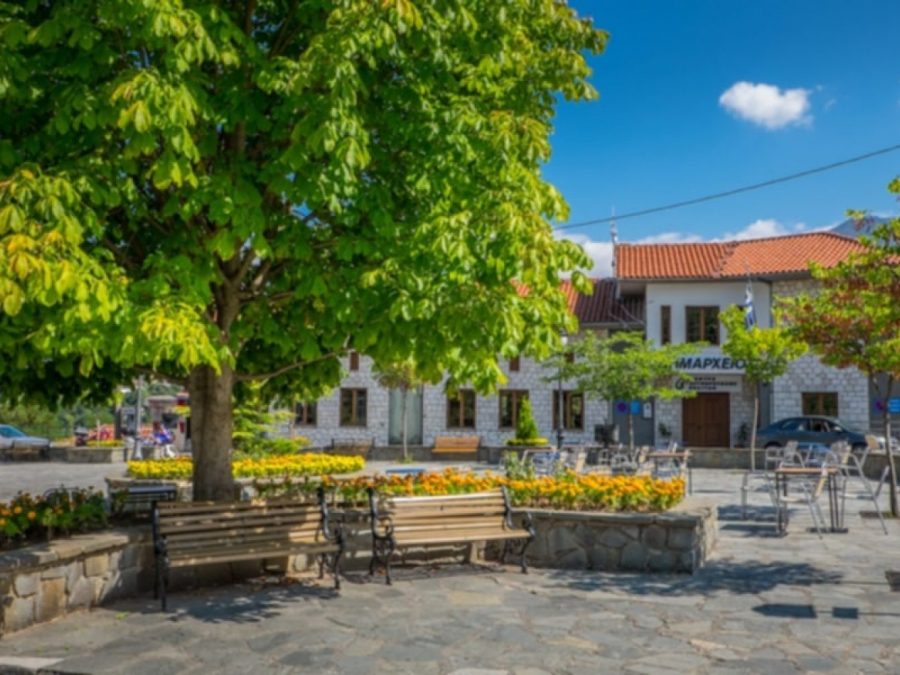 Κλειστός ο Δήμος Βορείων Τζουμέρκων στις 16 Δεκεμβρίου