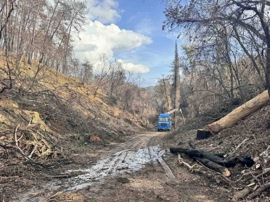 Σε εξέλιξη οι εργασίες απομάκρυνσης των καμμένων δέντρων από τη λίμνη Ζηρού