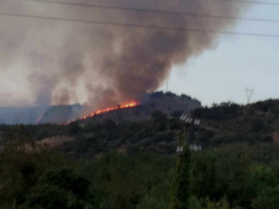 Απόφαση αναδάσωσης για μεγάλη έκταση δασικού χαρακτήρα στον Γοργόμυλο Φιλιππιάδας