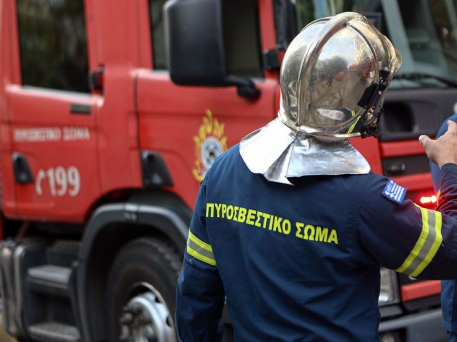 Καρδαμίτσια: Φωτιά σε χορτολιβαδική έκταση