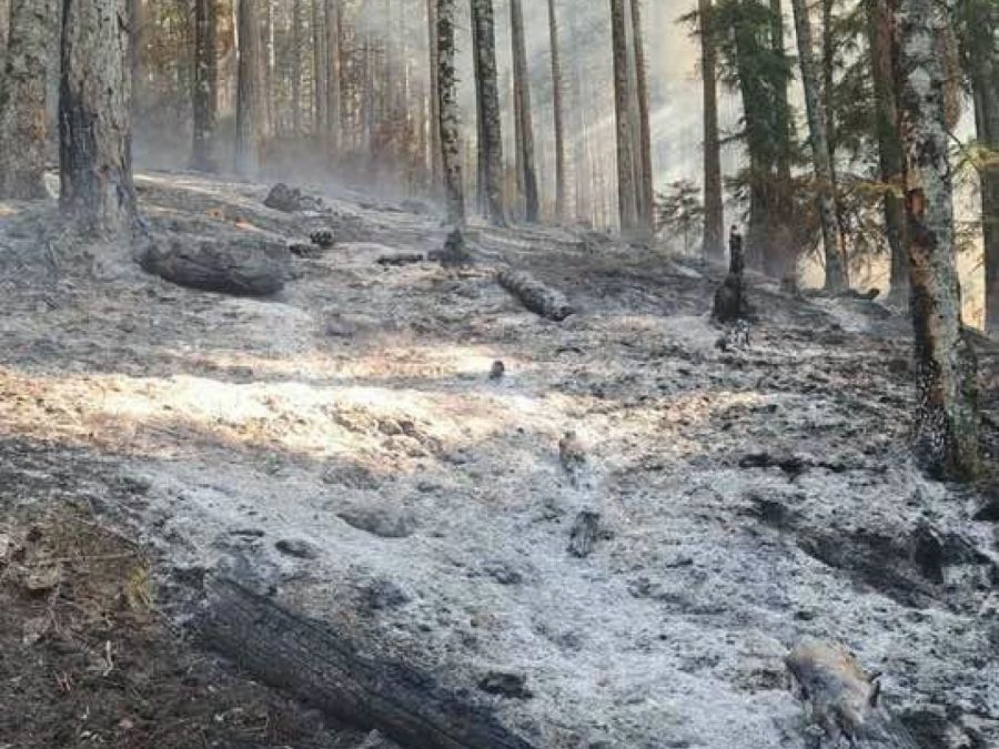Φωτιά στην Κόνιτσα: 6.290 στρέμματα έχουν γίνει στάχτη