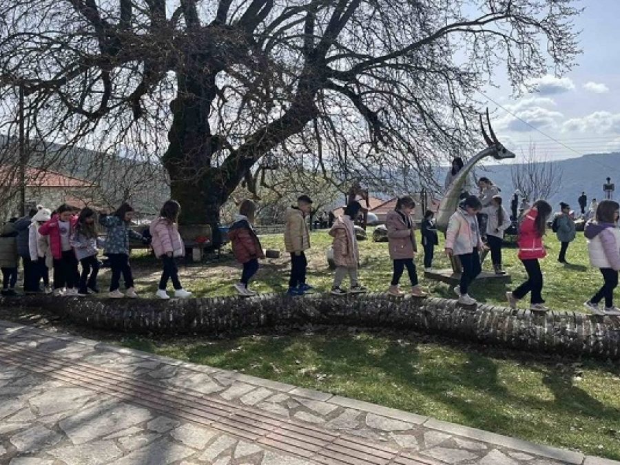 Πλήγμα για τον Δήμο Β. Τζουμέρκων ο περιορισμός των σχολικών εκδρομών