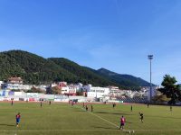 Μαχητικός αλλά ηττήθηκε από τον ΑΟ Τρίκαλα ο Θεσπρωτός